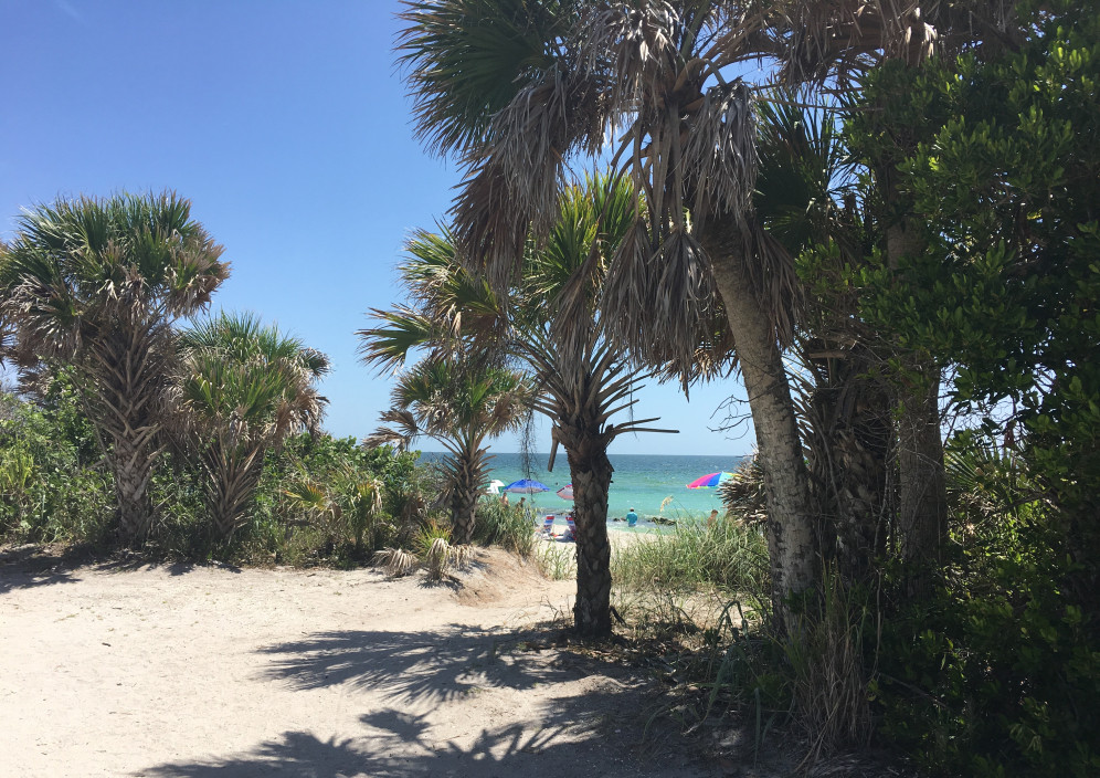 Bild von Florida mit dem Mietwagen